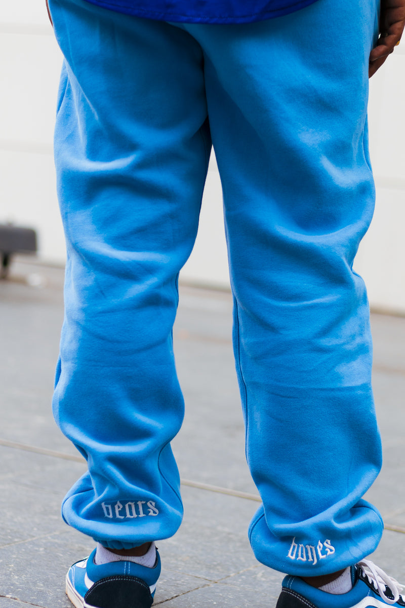 Baby blue champion store sweatpants